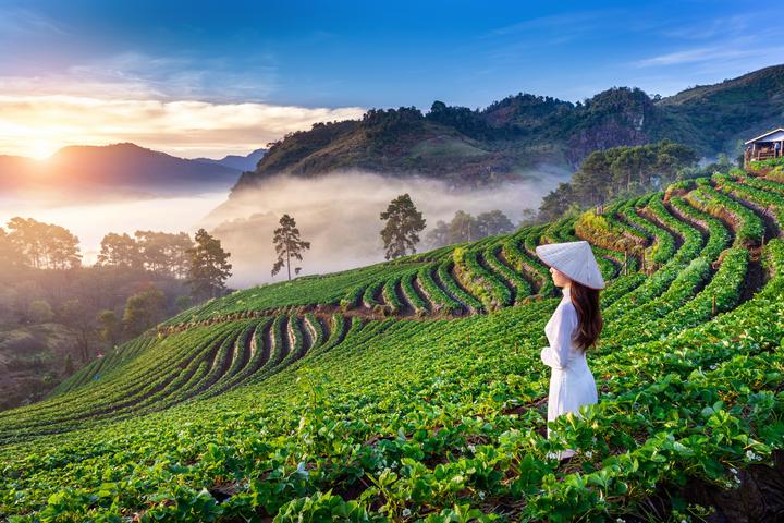 Quần dáng cong đang gây sốt với thiết kế độc đáo và tính ứng dụng cao, giúp tạo hiệu
