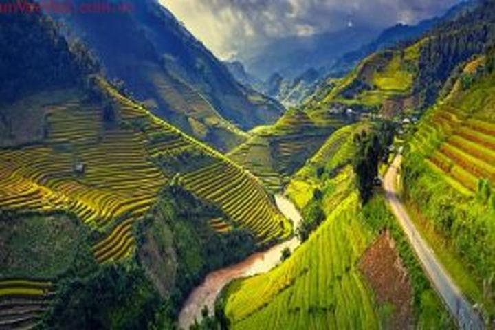 Xu hướng 5 mẫu áo mùa hè hoàn hảo nhất: Hotspot Matrix tiết lộ bí quyết video viral