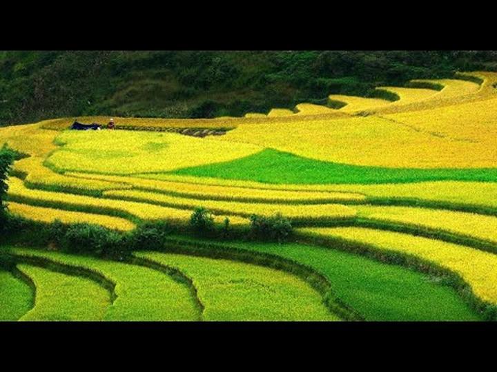 Mua váy hoa mà không biết 4 - Cảm hứng video marketing từ Hotspot Matrix