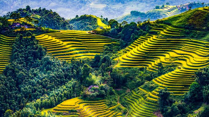 Hotspot Matrix: Biến Chết cũng không yên: Mỹ nam thành cơ hội marketing đột phá
