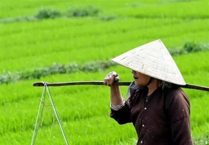 Hotspot Matrix: Hành trình chinh phục đỉnh cao video ngắn